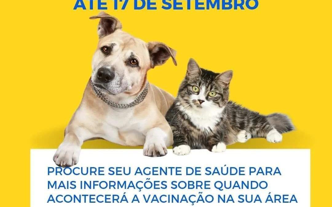 SÃO FÉLIX: Secretaria de Saúde da início a vacinação de cães e gatos contra a raiva.