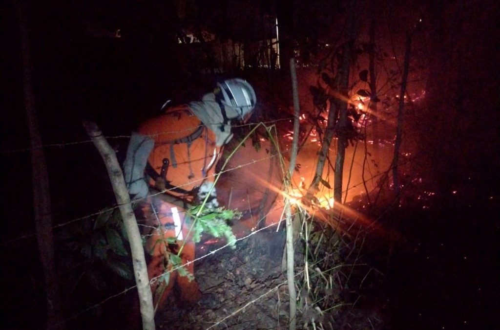 Fogo segue ativo em 21 cidades baianas; dez das afetadas estão no Oeste