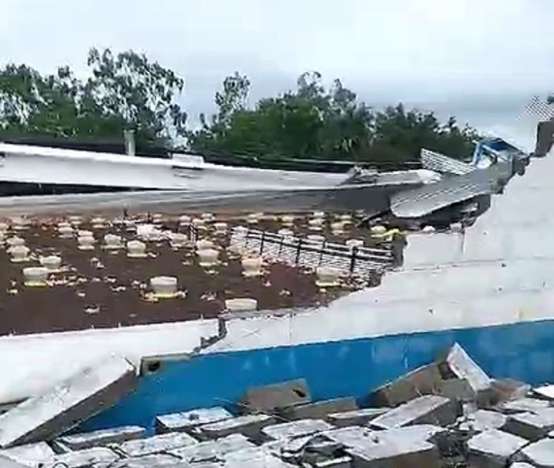 Chuva forte causa destruição em granjas na zona rural de Cabaceiras do Paraguaçu