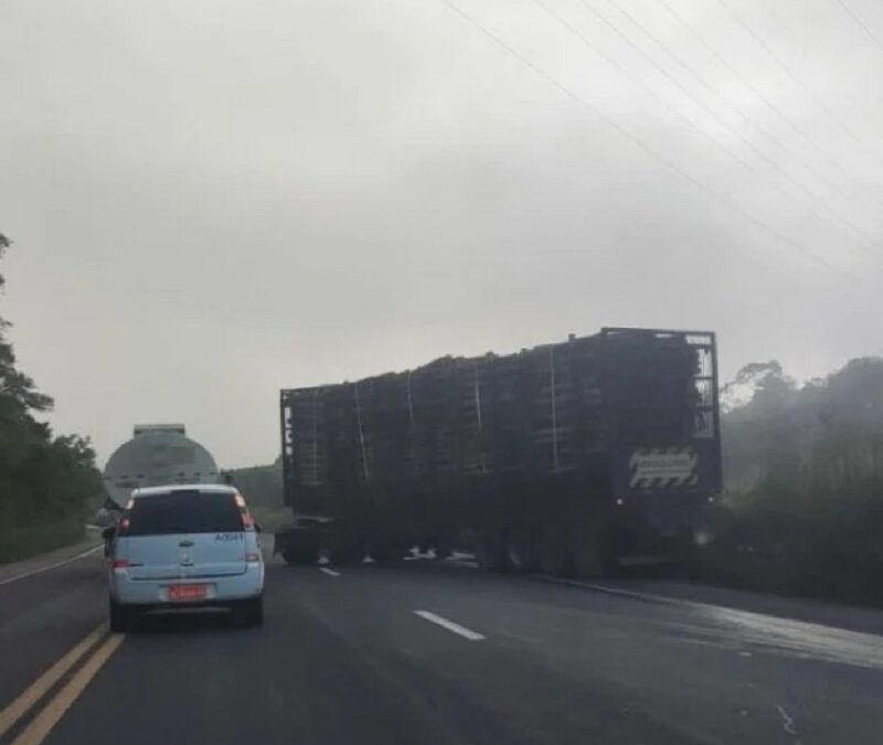 Carreta carregada com madeira se envolve em acidente na BR-101, em Pedra do Cavalo