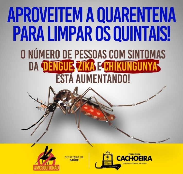 Cachoeira segui determinação do Ministério da Saúde,com atividades de campo no controle contra a Dengue, Zica e Chikungunya