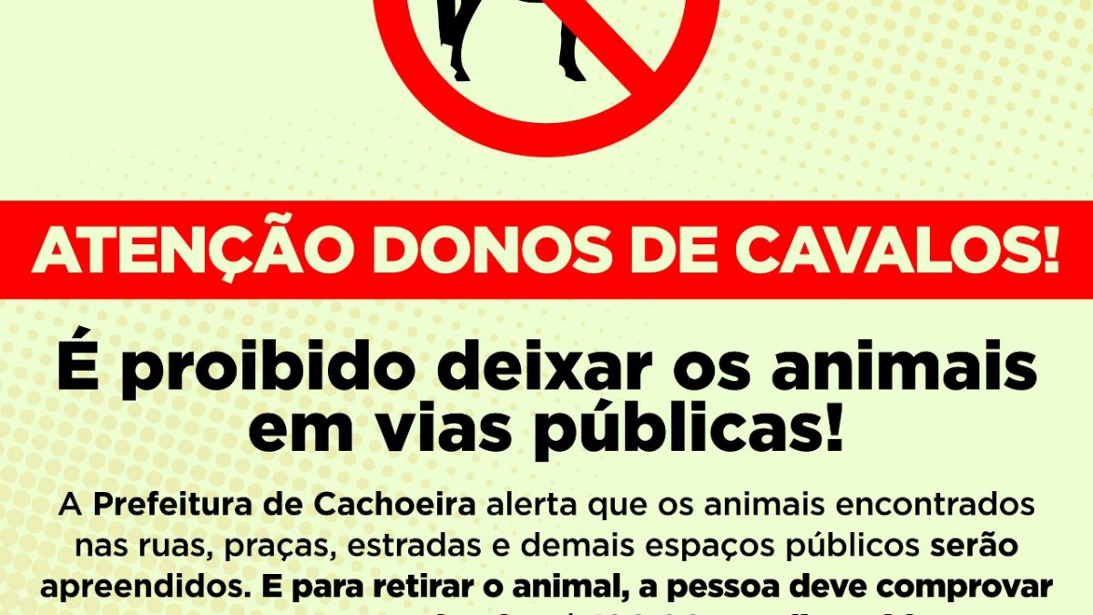 Cachoeira: Animais soltos nas ruas serão apreendidos e liberados após pagamento de multa
